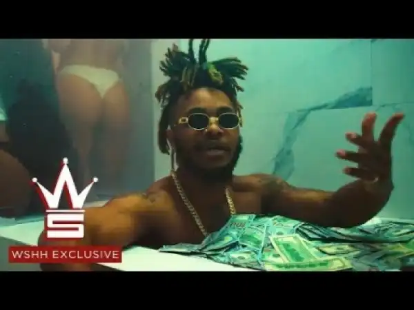 Video: Cassow – What Happened